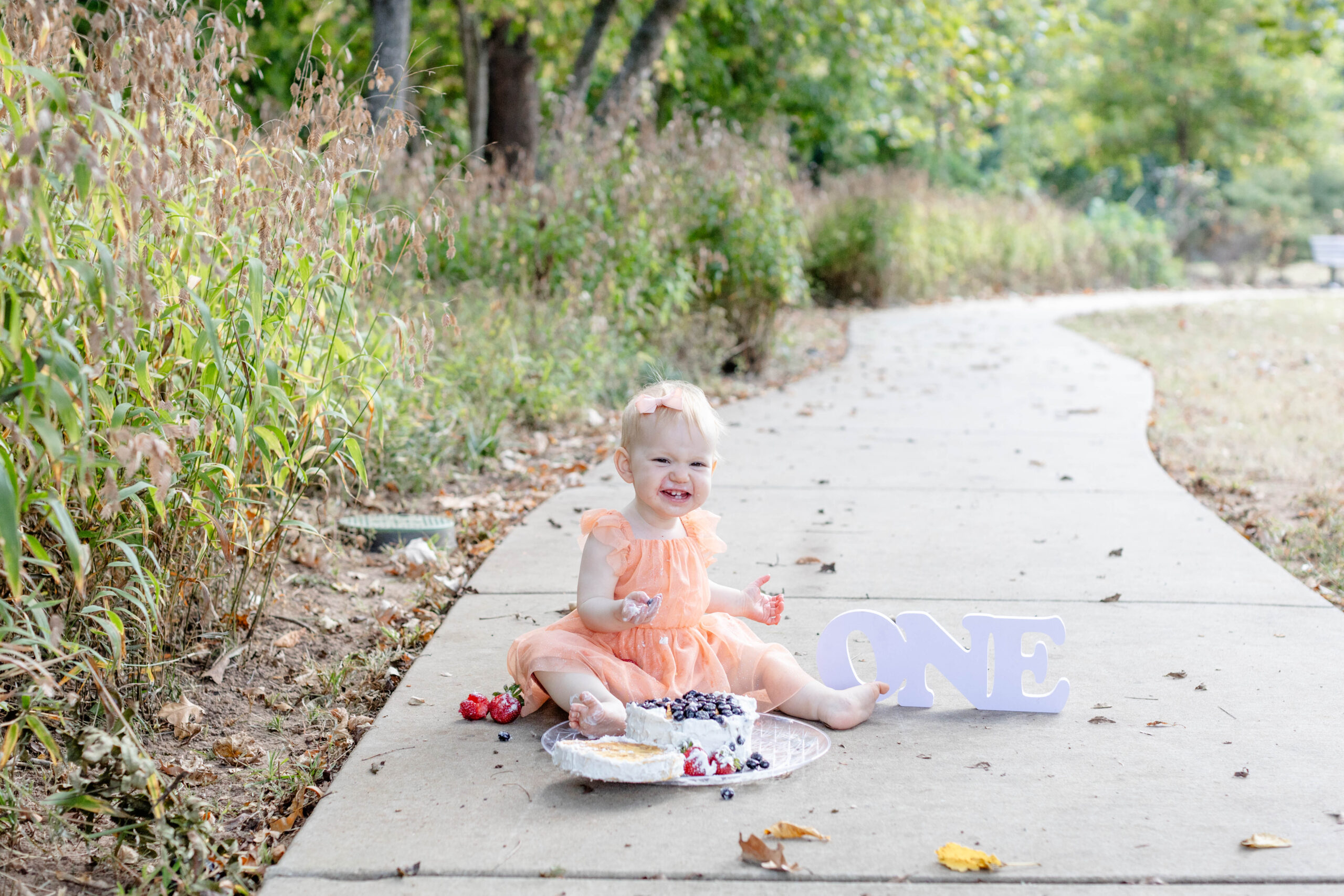 A baby smashing a 1st birthday cake in Greenville SC during a photo session.